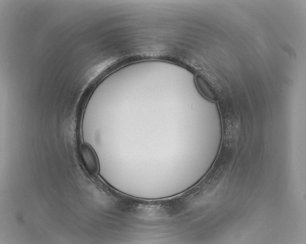 X0000114510440200911161258