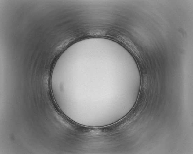 X0000114510441200911161258