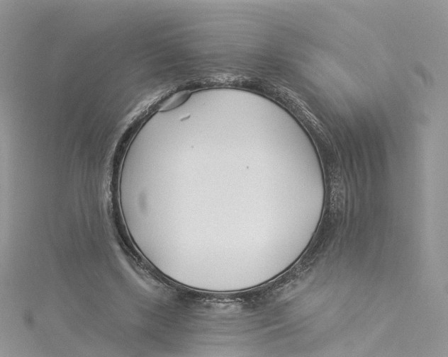 X0000114510443200911161258