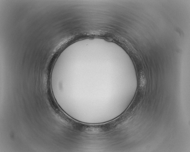 X0000114510444200911161258