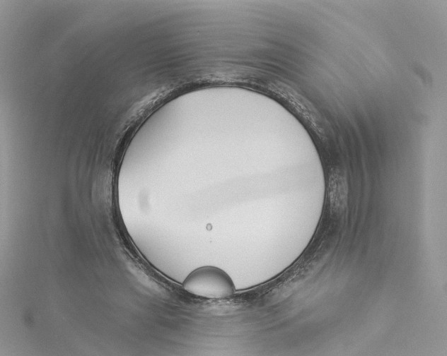 X0000114510445200911161258