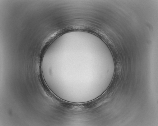 X0000114510446200911161258