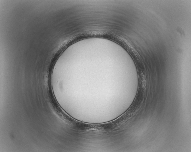 X0000114510447200911161258