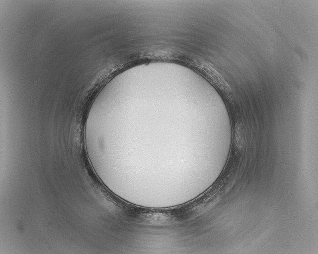 X0000114510449200911161258