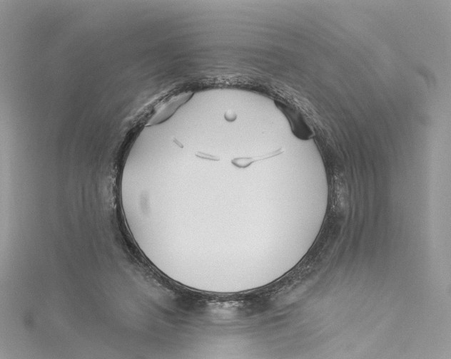 X0000114510450200911161258