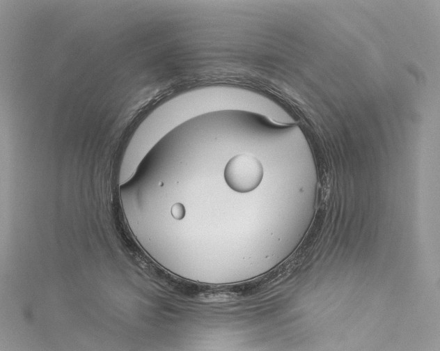 X0000114510452200911161259