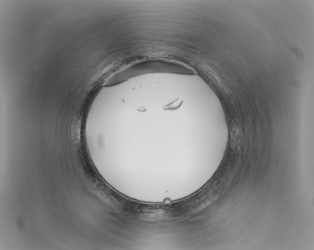 X0000114510454200911161259