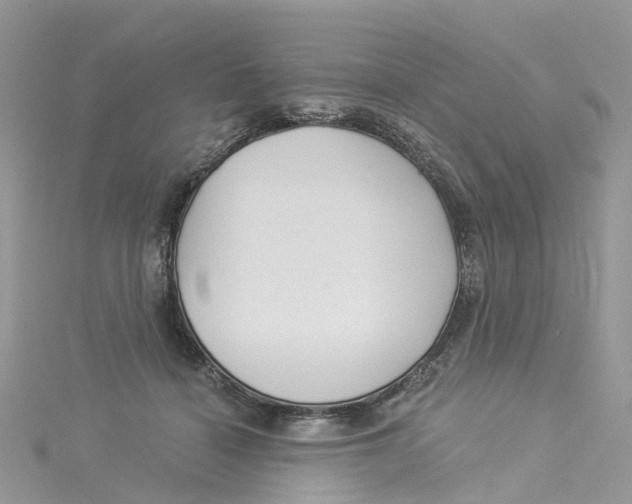 X0000114510460200911161259