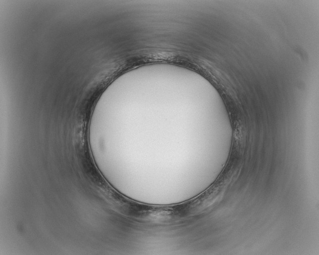 X0000114510462200911161259