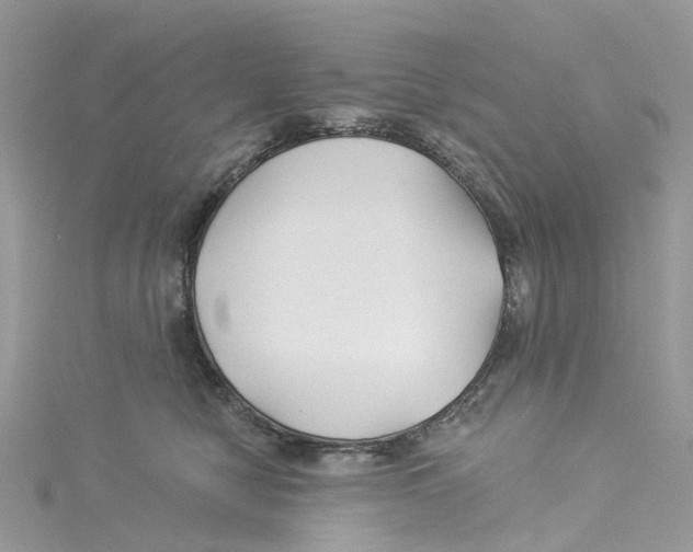 X0000114510470200911161259