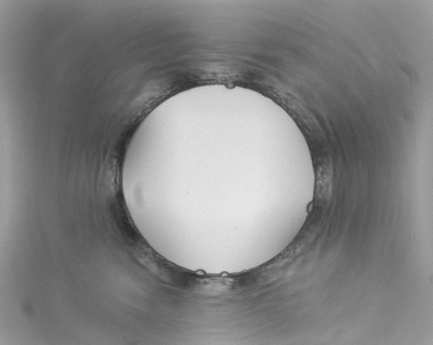 X0000114510474200911161259