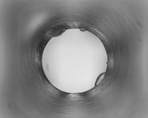 X0000114510477200911161259