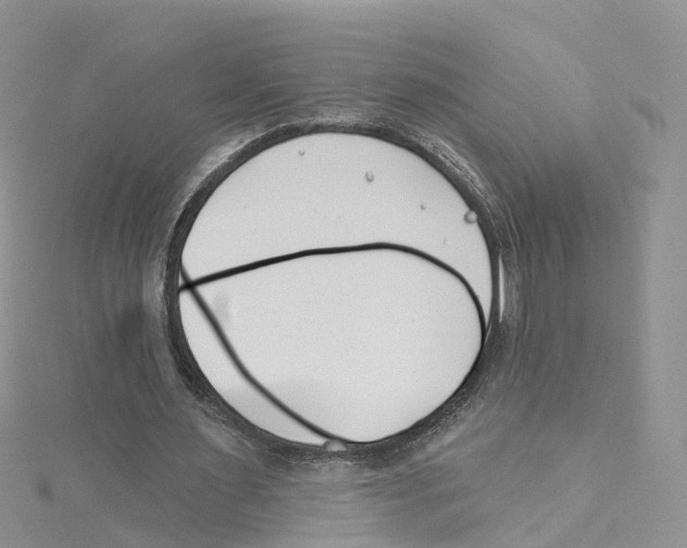 X0000114510483200911161258