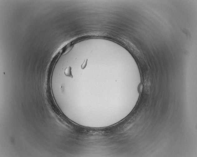 X0000114510484200911161258