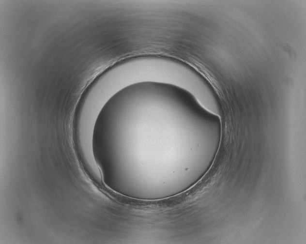 X0000114510485200911161258