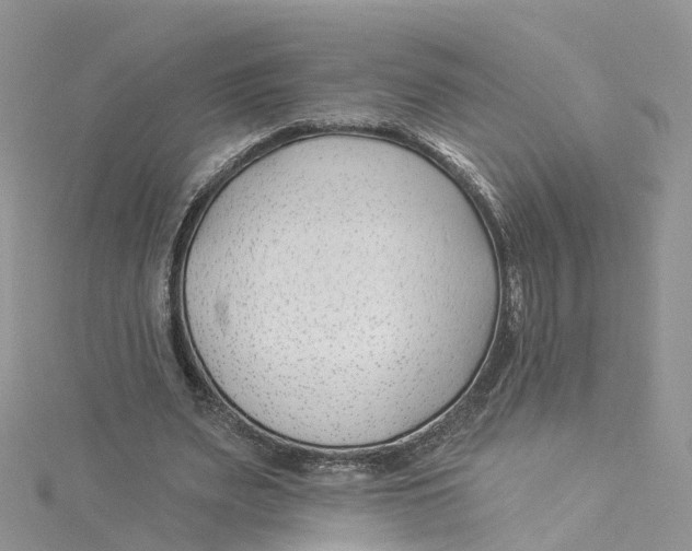 X0000114510487200911161258