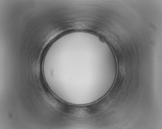 X0000114510488200911161258