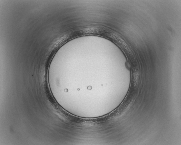 X0000114510490200911161258