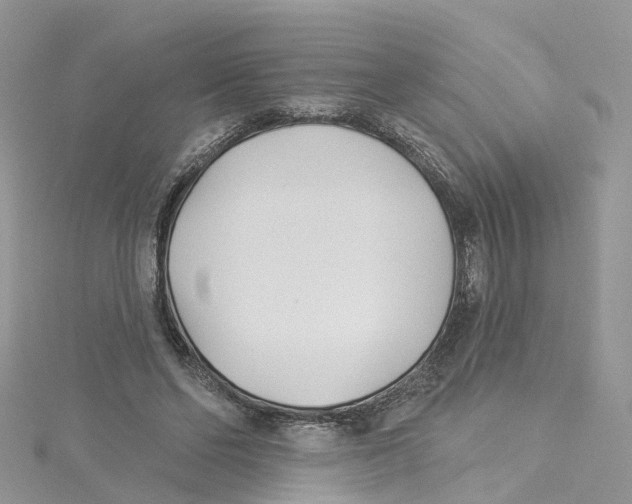 X0000114510494200911161258