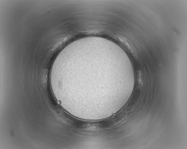 X0000114510495200911161258