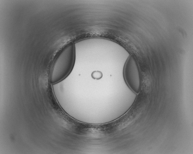 X0000114510496200911161258