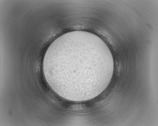 X0000114510499200911161258