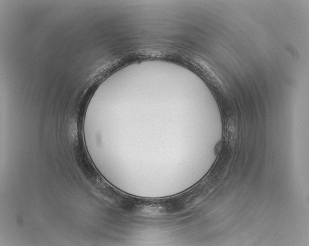 X0000114510500200911161258