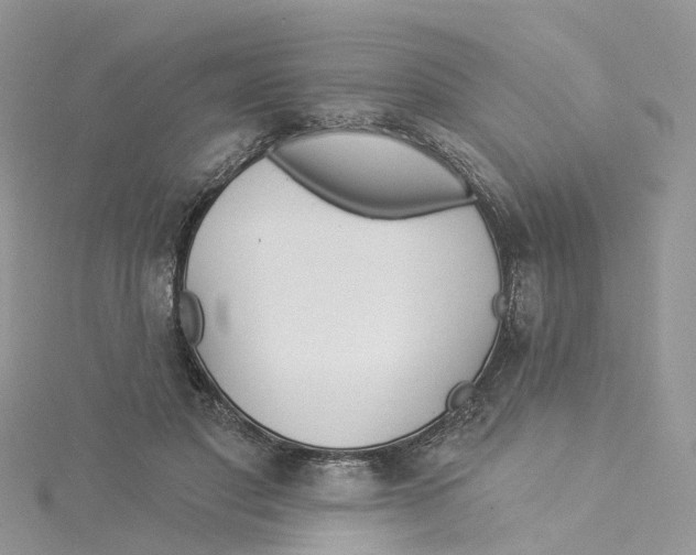 X0000114510501200911161258