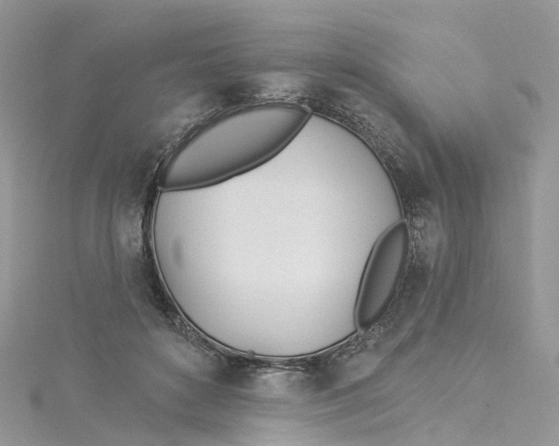 X0000114510504200911161258