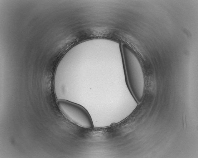 X0000114510505200911161258