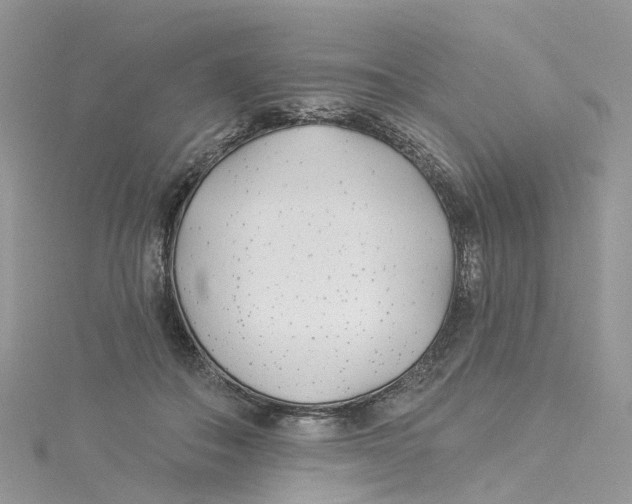 X0000114510506200911161258