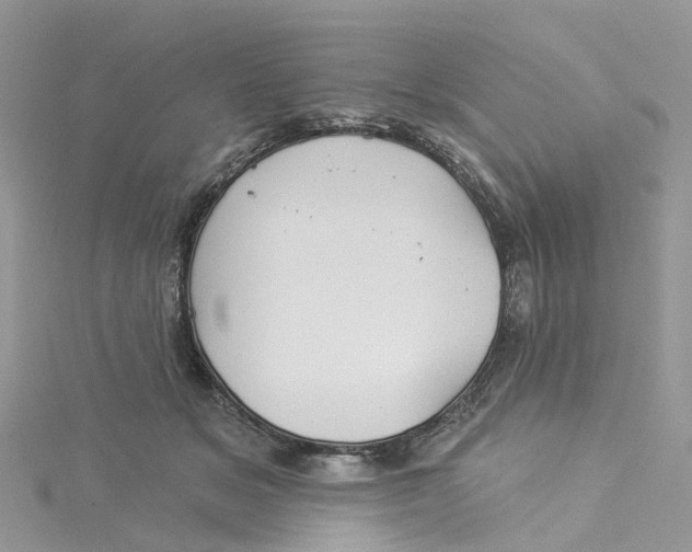 X0000114510509200911161258