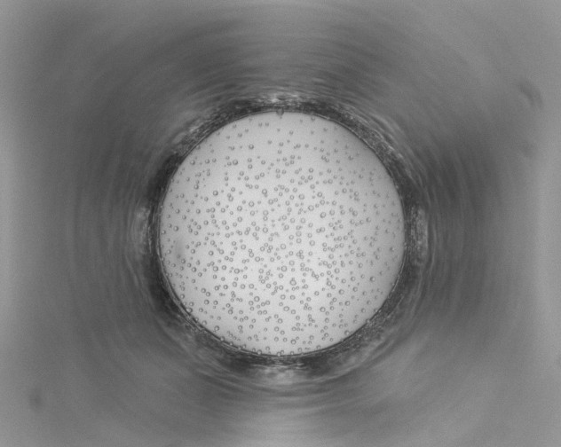 X0000114510511200911161258