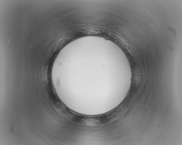 X0000114510512200911161258