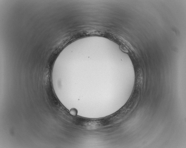 X0000114510513200911161258