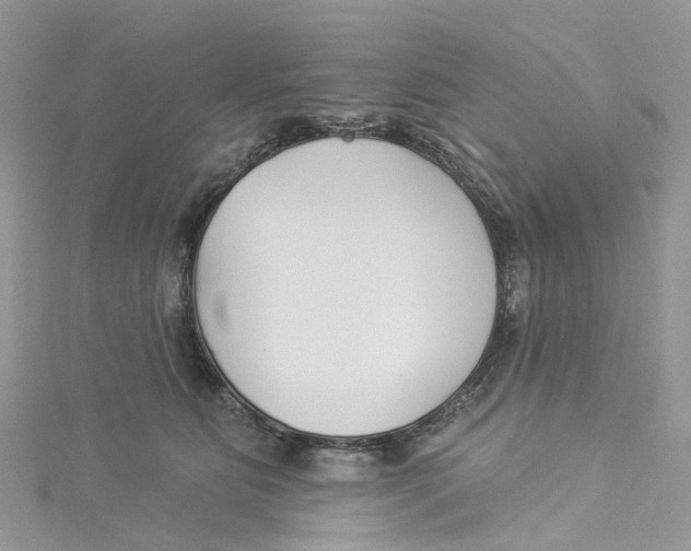 X0000114510515200911161258