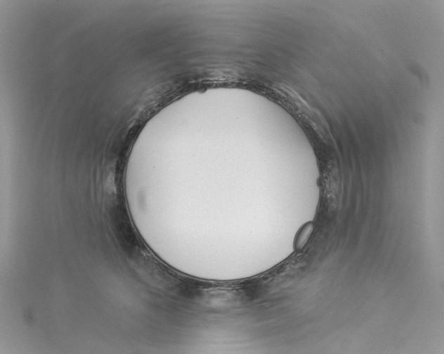 X0000114510516200911161258