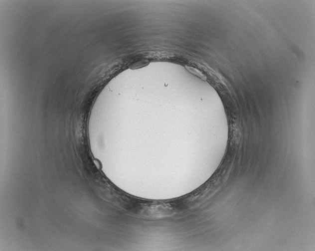 X0000114510517200911161258