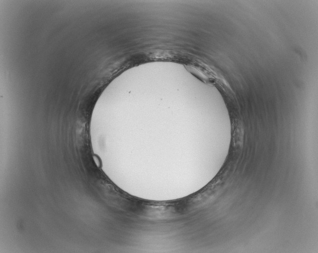 X0000114510521200911161258