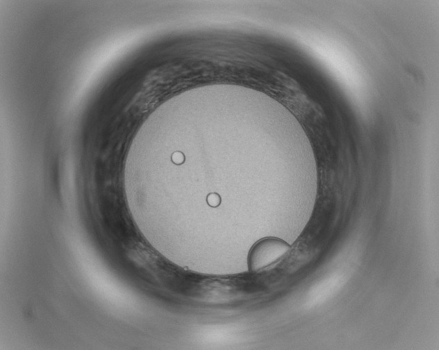 X0000114510526200911161258