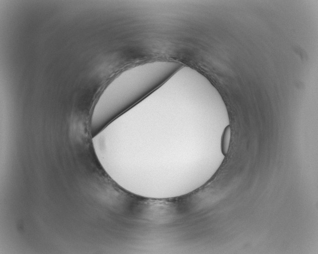 X0000114510528200911161258