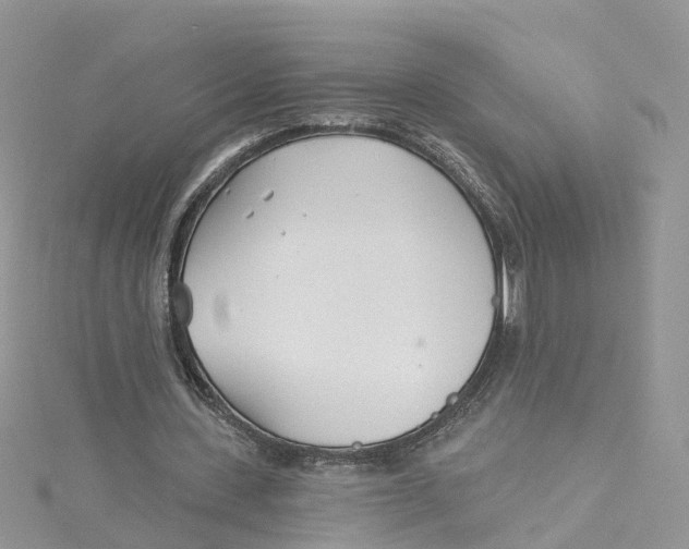 X0000114510531200911161257