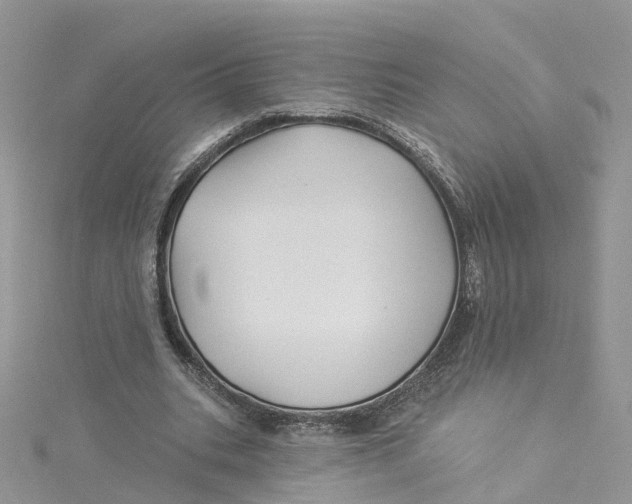 X0000114510535200911161257