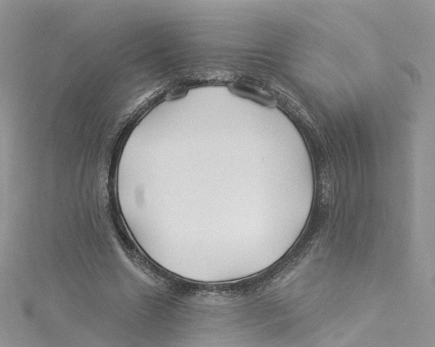 X0000114510538200911161257