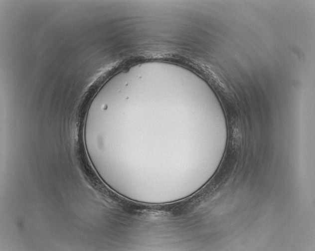 X0000114510539200911161257