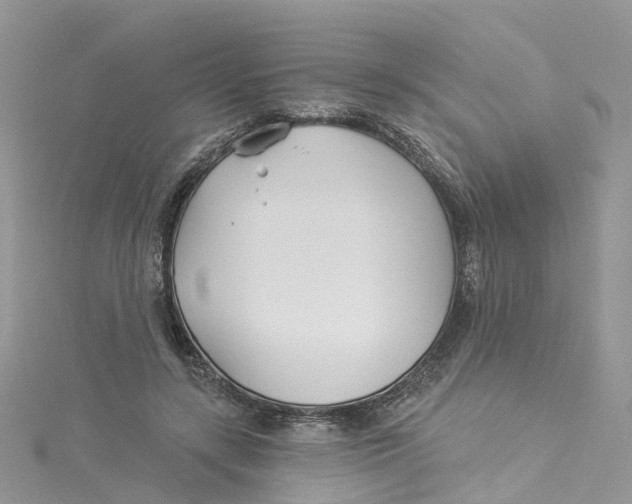 X0000114510547200911161257