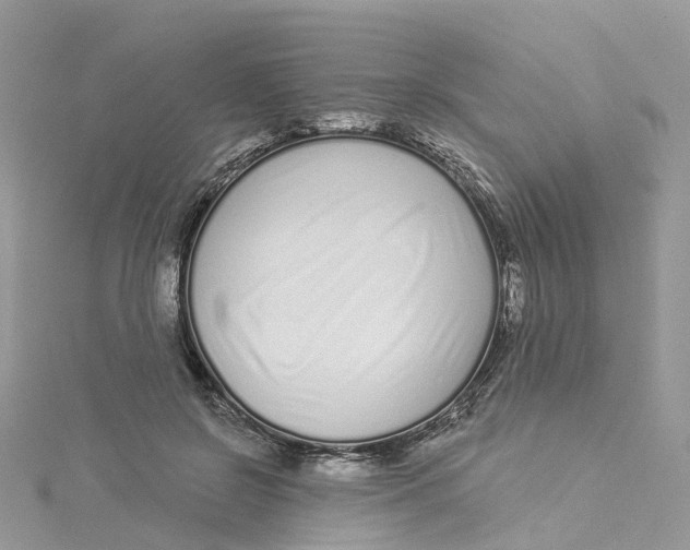 X0000114510550200911161257