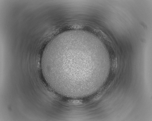 X0000114510553200911161257