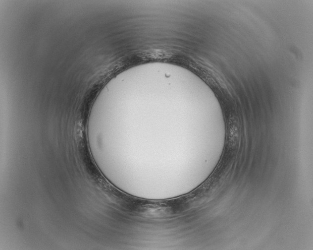 X0000114510555200911161257