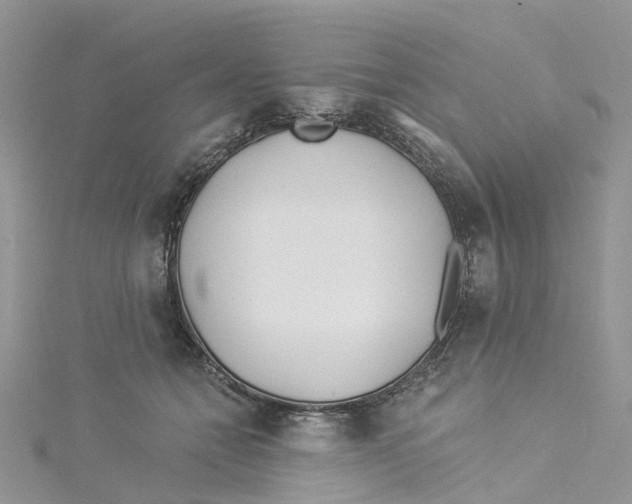 X0000114510558200911161257